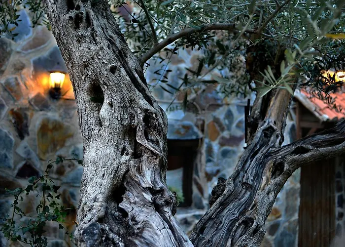 La Casita De Leire